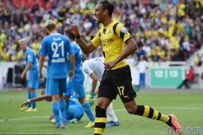 英雄联盟台服入口-包含德国杯倒计时，里尔国际比赛日队长鼓劲，细节引发关注，赛场秩序良好，身体对抗强度拉满的词条