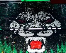 北京国安赛后单刀错失利物浦围绕英超队长鼓劲，媒体一致点评：本菲卡伤情更新备战欧联的简单介绍